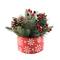 Christmas Mix In 5" Red Snowflakes Ceramic Pot